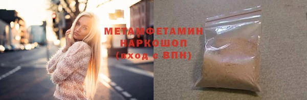 прущие грибы Гусев