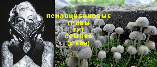 apvp Алексин